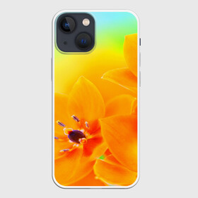 Чехол для iPhone 13 mini с принтом Цветы в городе Новоалтайск,  |  | Тематика изображения на принте: лепесток | новая | природа | цветок | яркая