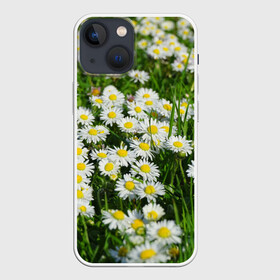 Чехол для iPhone 13 mini с принтом Ромашки 2 в городе Новоалтайск,  |  | лепестки | прикольные картинки | ромашки | цветочки | цветы