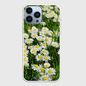 Чехол для iPhone 13 Pro Max с принтом Ромашки 2 в городе Новоалтайск,  |  | Тематика изображения на принте: лепестки | прикольные картинки | ромашки | цветочки | цветы