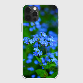 Чехол для iPhone 12 Pro с принтом Синие цветы в городе Новоалтайск, силикон | область печати: задняя сторона чехла, без боковых панелей | лепестки | прикольные картинки | цветочки | цветы
