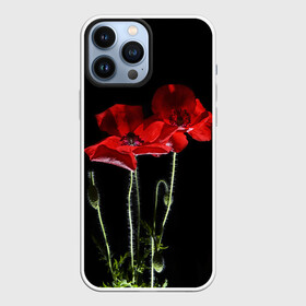 Чехол для iPhone 13 Pro Max с принтом Маки в городе Новоалтайск,  |  | Тематика изображения на принте: background | black | flowers | poppies | poppy | red | wild | красные | мак | маки | полевые | фон | цветы | черный