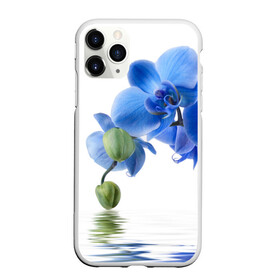 Чехол для iPhone 11 Pro матовый с принтом Веточка орхидеи в городе Новоалтайск, Силикон |  | ветка | красота | нежность | орхидея | природа | растение | фауна | цветок | цветы