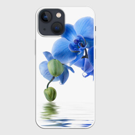 Чехол для iPhone 13 mini с принтом Веточка орхидеи в городе Новоалтайск,  |  | ветка | красота | нежность | орхидея | природа | растение | фауна | цветок | цветы