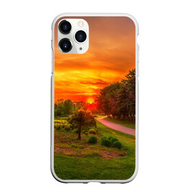 Чехол для iPhone 11 Pro матовый с принтом Канада в городе Новоалтайск, Силикон |  | закат | красота | лето | поле