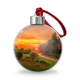 Ёлочный шар с принтом Канада в городе Новоалтайск, Пластик | Диаметр: 77 мм | Тематика изображения на принте: закат | красота | лето | поле