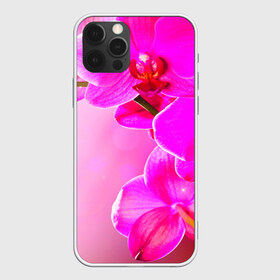 Чехол для iPhone 12 Pro Max с принтом Орхидея в городе Новоалтайск, Силикон |  | лепесток | новая | орхидея | природа | цветок | яркая