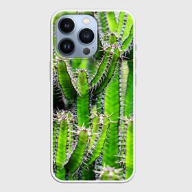 Чехол для iPhone 13 Pro с принтом Кактус в городе Новоалтайск,  |  | Тематика изображения на принте: кактус | колючки | прикольные картинки | природа | цветочки | цветы