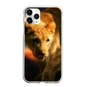 Чехол для iPhone 11 Pro матовый с принтом Львица в городе Новоалтайск, Силикон |  | Тематика изображения на принте: lion | голова животного | дикая кошка | кот | лев | цвет