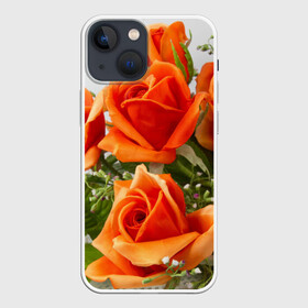 Чехол для iPhone 13 mini с принтом Розы в городе Новоалтайск,  |  | Тематика изображения на принте: бабочки | весна | краски | лето | осень | розы | цветок | цветы