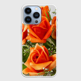 Чехол для iPhone 13 Pro с принтом Розы в городе Новоалтайск,  |  | Тематика изображения на принте: бабочки | весна | краски | лето | осень | розы | цветок | цветы