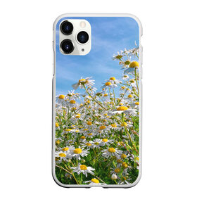 Чехол для iPhone 11 Pro матовый с принтом Ромашковый рай в городе Новоалтайск, Силикон |  | лепестки | небо | прикольные картинки | ромашки | солнце | цветочки | цветы