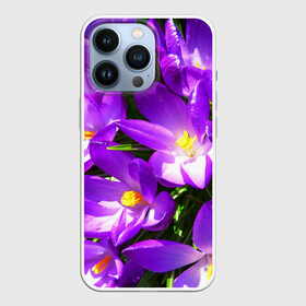 Чехол для iPhone 13 Pro с принтом Сиреневая прелесть в городе Новоалтайск,  |  | Тематика изображения на принте: лепестки | прикольные картинки | сиреневый | цветочки | цветы