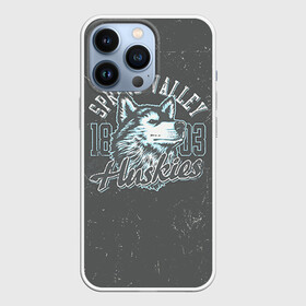 Чехол для iPhone 13 Pro с принтом Team t shirt 5 в городе Новоалтайск,  |  | Тематика изображения на принте: american football | baseball | fashion | football | sport | sport league | style | team | west | американский футбол | бейсбол | запад | команды | мода | надписи | спорт | спортивные лиги | стиль | футбол | футбольные лиги