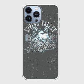 Чехол для iPhone 13 Pro Max с принтом Team t shirt 5 в городе Новоалтайск,  |  | Тематика изображения на принте: american football | baseball | fashion | football | sport | sport league | style | team | west | американский футбол | бейсбол | запад | команды | мода | надписи | спорт | спортивные лиги | стиль | футбол | футбольные лиги