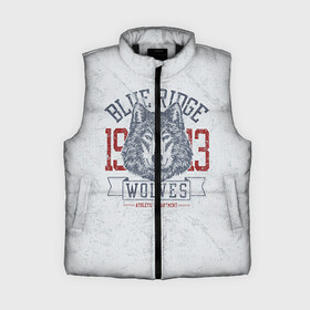 Женский жилет утепленный 3D с принтом Team t shirt в городе Новоалтайск,  |  | american football | baseball | fashion | football | sport | sport league | style | team | west | американский футбол | бейсбол | запад | команды | мода | надписи | спорт | спортивные лиги | стиль | футбол | футбольные лиги