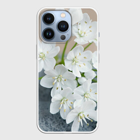 Чехол для iPhone 13 Pro с принтом Белые цветочки 3 в городе Новоалтайск,  |  | Тематика изображения на принте: белый | цветок | цветы