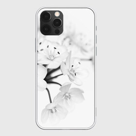 Чехол для iPhone 12 Pro Max с принтом Белые цветочки 5 в городе Новоалтайск, Силикон |  | белый | цветок | цветы