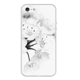 Чехол для iPhone 5/5S матовый с принтом Белые цветочки 5 в городе Новоалтайск, Силикон | Область печати: задняя сторона чехла, без боковых панелей | белый | цветок | цветы