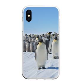 Чехол для iPhone XS Max матовый с принтом Пингвины в городе Новоалтайск, Силикон | Область печати: задняя сторона чехла, без боковых панелей | пингвин