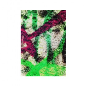 Обложка для паспорта матовая кожа с принтом Grunge color в городе Новоалтайск, натуральная матовая кожа | размер 19,3 х 13,7 см; прозрачные пластиковые крепления | граффити | стена