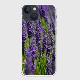 Чехол для iPhone 13 mini с принтом Лаванда в городе Новоалтайск,  |  | зеленый | зелень | лаванда | лето | поле | природа | синий | цветы