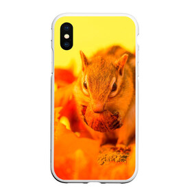 Чехол для iPhone XS Max матовый с принтом Белка в городе Новоалтайск, Силикон | Область печати: задняя сторона чехла, без боковых панелей | белка | животные | орех