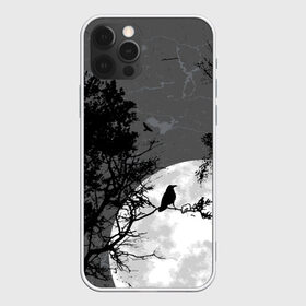 Чехол для iPhone 12 Pro Max с принтом Черный ворон в городе Новоалтайск, Силикон |  | Тематика изображения на принте: ворон | луна | новинки | ночь | полнолуние | природа | птица