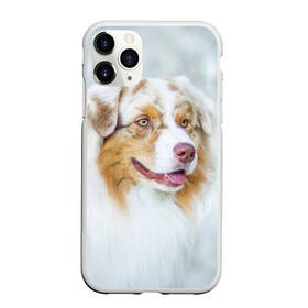 Чехол для iPhone 11 Pro матовый с принтом Австралийская овчарка в городе Новоалтайск, Силикон |  | австралийская овчарка | животные | природа | собака | щенок