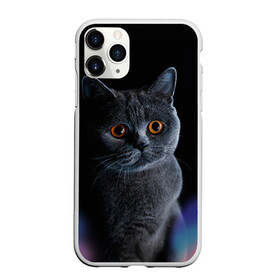 Чехол для iPhone 11 Pro матовый с принтом Британец 1 в городе Новоалтайск, Силикон |  | Тематика изображения на принте: британец | британская | британцы | кот | котенок | котик | котэ | кошка