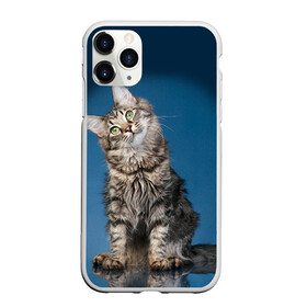 Чехол для iPhone 11 Pro матовый с принтом Мейн-кун 2 в городе Новоалтайск, Силикон |  | кот | котенок | котик | котэ | кошка | мейн кун | мейнкун | мэйн кун | мэйнкун