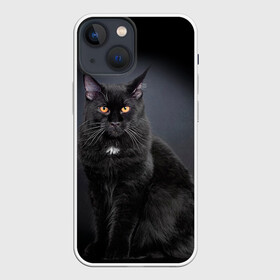 Чехол для iPhone 13 mini с принтом Мейн кун 3 в городе Новоалтайск,  |  | Тематика изображения на принте: кот | котенок | котик | котэ | кошка | мейн кун | мейнкун | мэйн кун | мэйнкун