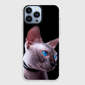 Чехол для iPhone 13 Pro Max с принтом Сфинкс 6 в городе Новоалтайск,  |  | Тематика изображения на принте: кот | котенок | котик | котэ | кошка | сфинкс