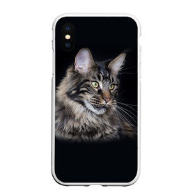Чехол для iPhone XS Max матовый с принтом Мейн-кун 5 в городе Новоалтайск, Силикон | Область печати: задняя сторона чехла, без боковых панелей | Тематика изображения на принте: кот | котенок | котик | котэ | кошка | мейн кун | мейнкун | мэйн кун | мэйнкун