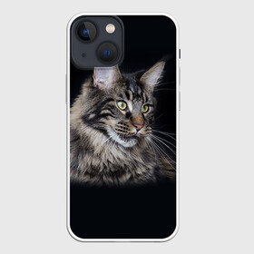 Чехол для iPhone 13 mini с принтом Мейн кун 5 в городе Новоалтайск,  |  | Тематика изображения на принте: кот | котенок | котик | котэ | кошка | мейн кун | мейнкун | мэйн кун | мэйнкун