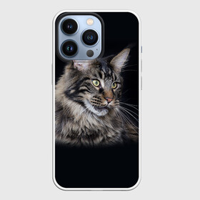 Чехол для iPhone 13 Pro с принтом Мейн кун 5 в городе Новоалтайск,  |  | Тематика изображения на принте: кот | котенок | котик | котэ | кошка | мейн кун | мейнкун | мэйн кун | мэйнкун
