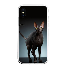 Чехол для iPhone XS Max матовый с принтом Сфинкс 7 в городе Новоалтайск, Силикон | Область печати: задняя сторона чехла, без боковых панелей | кот | котенок | котик | котэ | кошка | сфинкс