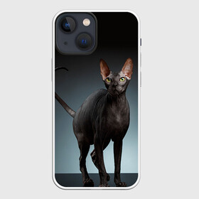 Чехол для iPhone 13 mini с принтом Сфинкс 7 в городе Новоалтайск,  |  | Тематика изображения на принте: кот | котенок | котик | котэ | кошка | сфинкс