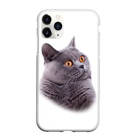 Чехол для iPhone 11 Pro матовый с принтом Британец 5 в городе Новоалтайск, Силикон |  | британец | британская | британцы | кот | котенок | котик | котэ | кошка