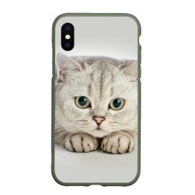 Чехол для iPhone XS Max матовый Британец 6: в городе Новоалтайск, Силикон | Область печати: задняя сторона чехла, без боковых панелей | британец | британская | британцы | кот | котенок | котик | котэ | кошка