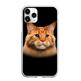 Чехол для iPhone 11 Pro Max матовый с принтом Мейн-кун 6 в городе Новоалтайск, Силикон |  | кот | котенок | котик | котэ | кошка | мейн кун | мейнкун | мэйн кун | мэйнкун