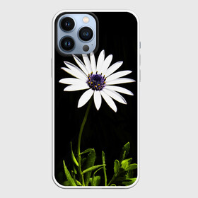 Чехол для iPhone 13 Pro Max с принтом Цветок счастья в городе Новоалтайск,  |  | Тематика изображения на принте: лепестки | прикольные картинки | цветочки | цветы