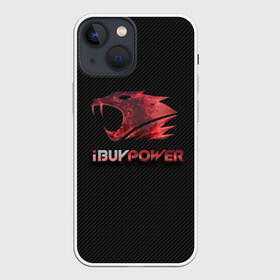Чехол для iPhone 13 mini с принтом cs:go   iBUYPOWER (KATOWICE 2014) в городе Новоалтайск,  |  | cs | csgo | го | кс