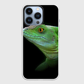 Чехол для iPhone 13 Pro с принтом Рептилоид в городе Новоалтайск,  |  | о.м.с.к. | природа | ящерица