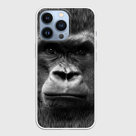 Чехол для iPhone 13 Pro с принтом Взгляд в городе Новоалтайск,  |  | взгляд | голова | животные | о.м.с.к. | обезьяна | природа