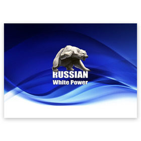 Поздравительная открытка с принтом Russian white power в городе Новоалтайск, 100% бумага | плотность бумаги 280 г/м2, матовая, на обратной стороне линовка и место для марки
 | медведь | патриот | русский | русы | русь | сила | славяне