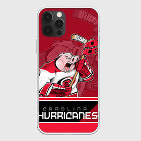 Чехол для iPhone 12 Pro Max с принтом Carolina Hurricanes в городе Новоалтайск, Силикон |  | carolina hurricanes | nhl | stanley cup | каролина | каролина харрикейнз | кубок стенли | кубок стэнли | нхл | хоккей | хоккейный клуб | хурикэйнс