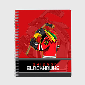 Тетрадь с принтом Chicago Blackhawks в городе Новоалтайск, 100% бумага | 48 листов, плотность листов — 60 г/м2, плотность картонной обложки — 250 г/м2. Листы скреплены сбоку удобной пружинной спиралью. Уголки страниц и обложки скругленные. Цвет линий — светло-серый
 | chicago blackhawks | nhl | stanley cup | анисимов | блэкхокс | кубок стенли | кубок стэнли | нхл | панарин | хоккей | хоккейный клуб | чикаго | чикаго блэкхокс