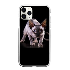 Чехол для iPhone 11 Pro Max матовый с принтом Сфинкс в городе Новоалтайск, Силикон |  | Тематика изображения на принте: взгляд | глаза | голова животного | киска | кот | котёнок | кошка | прикольные картинки