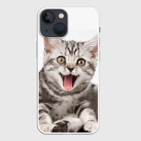 Чехол для iPhone 13 mini с принтом Милашка в городе Новоалтайск,  |  | кот | котенок | кошка