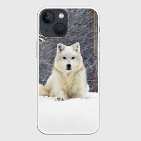 Чехол для iPhone 13 mini с принтом Snow в городе Новоалтайск,  |  | белый | зима | снег